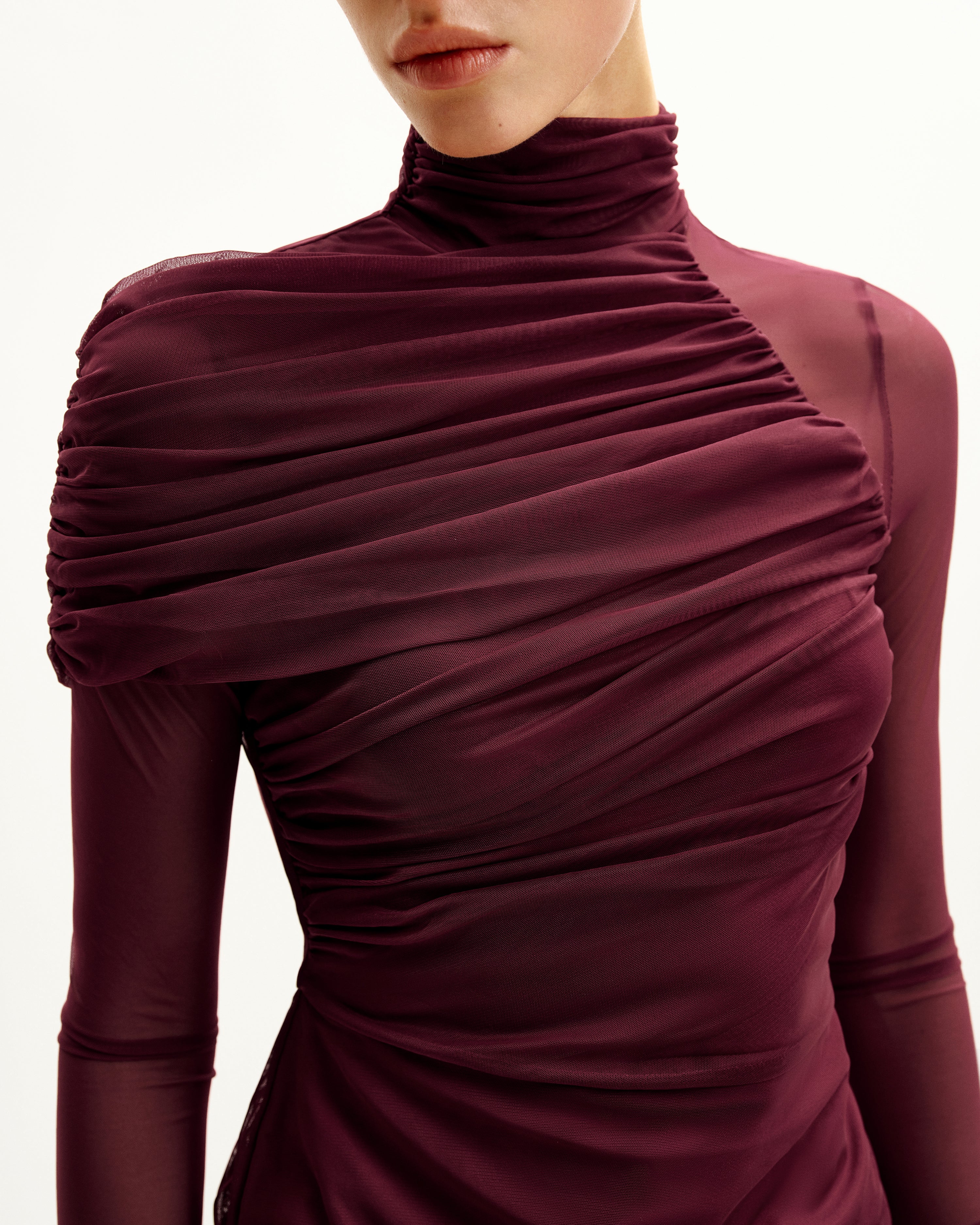 Ella Sheer Ruched Turtleneck Top - Burgundy - Image 4